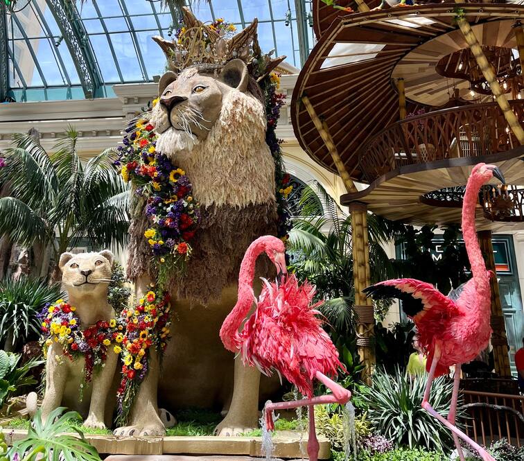 Things to do in Las Vegas