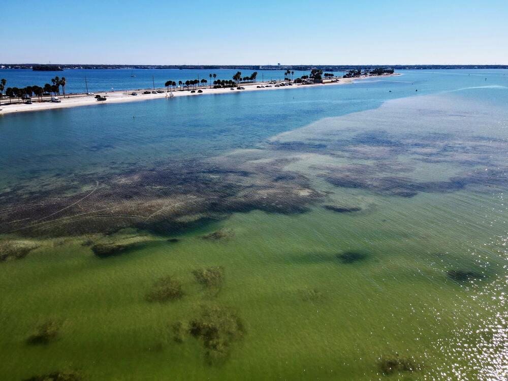 Things to do in Orlando