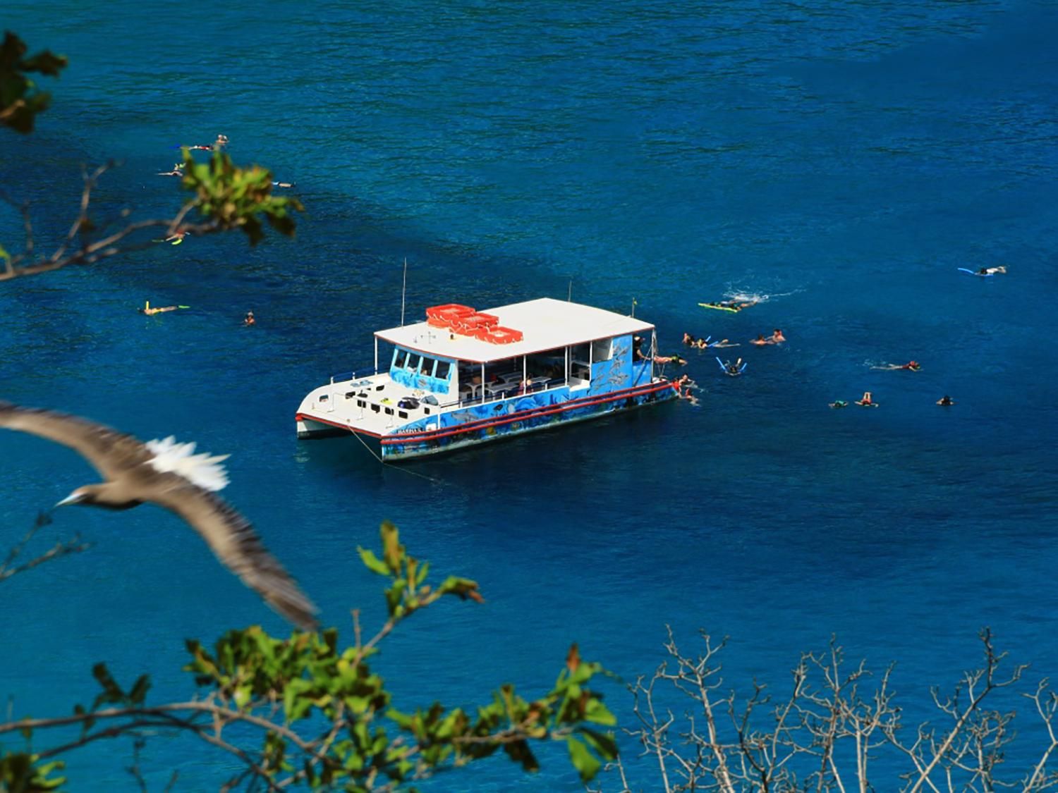 Things to do in Brazil