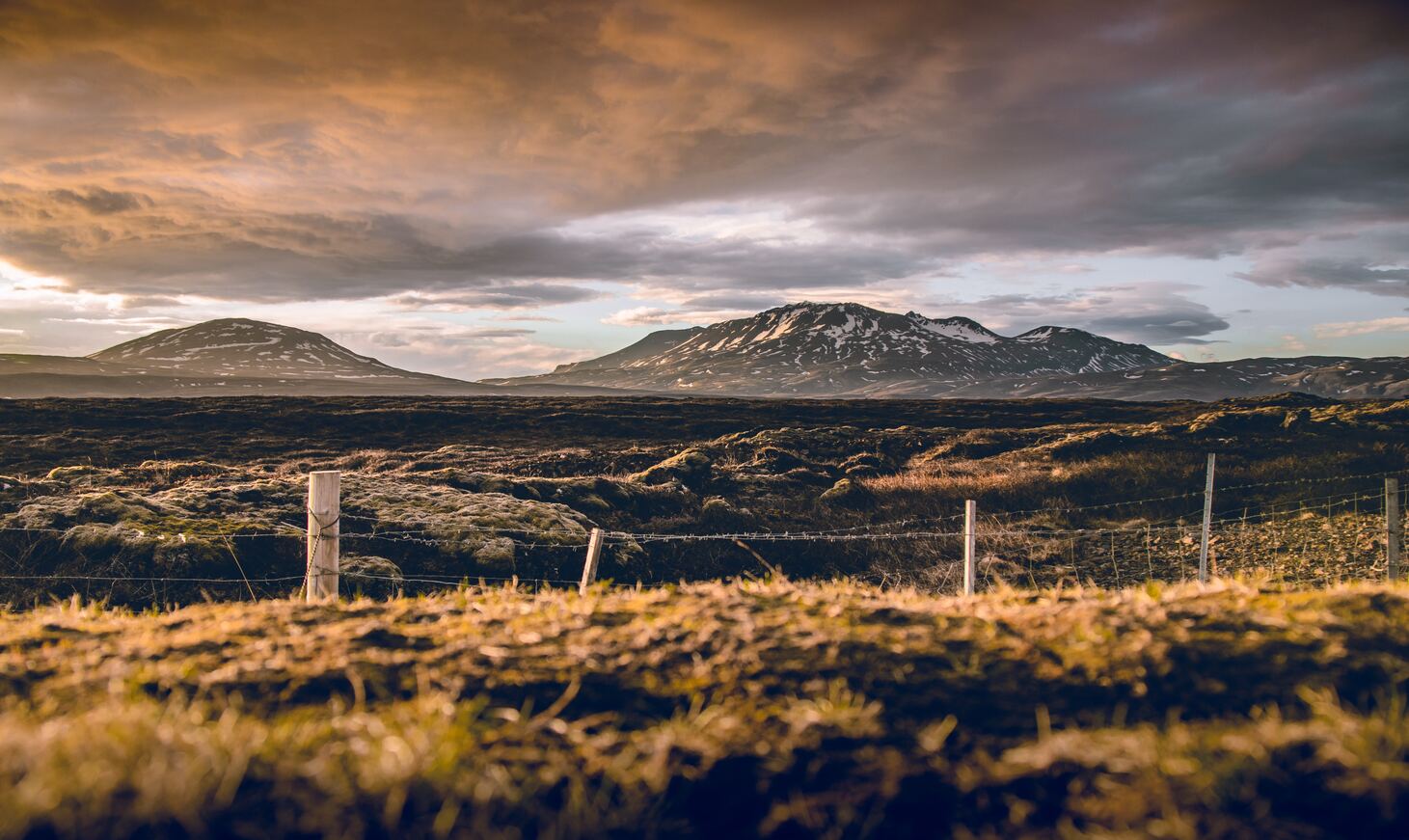 Things to do in Reykjavík