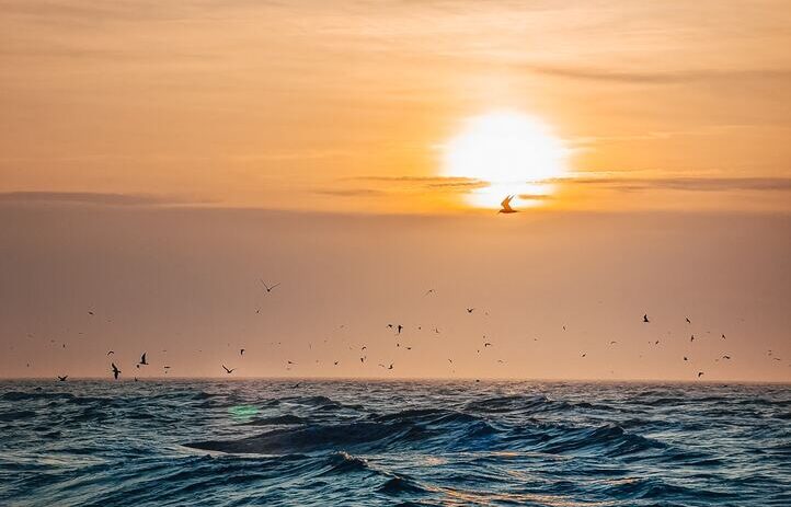 Things to do in Costa del Sol