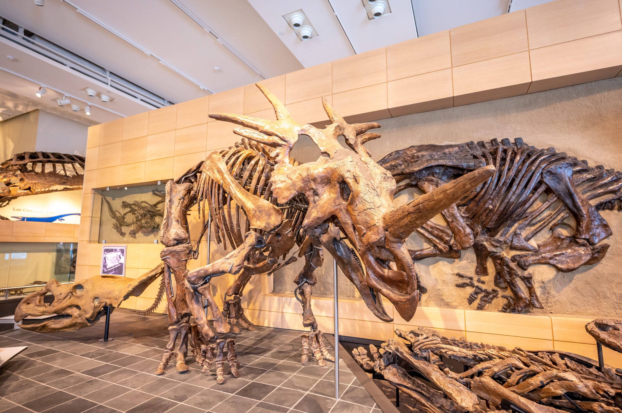 Things to do in Ottawa