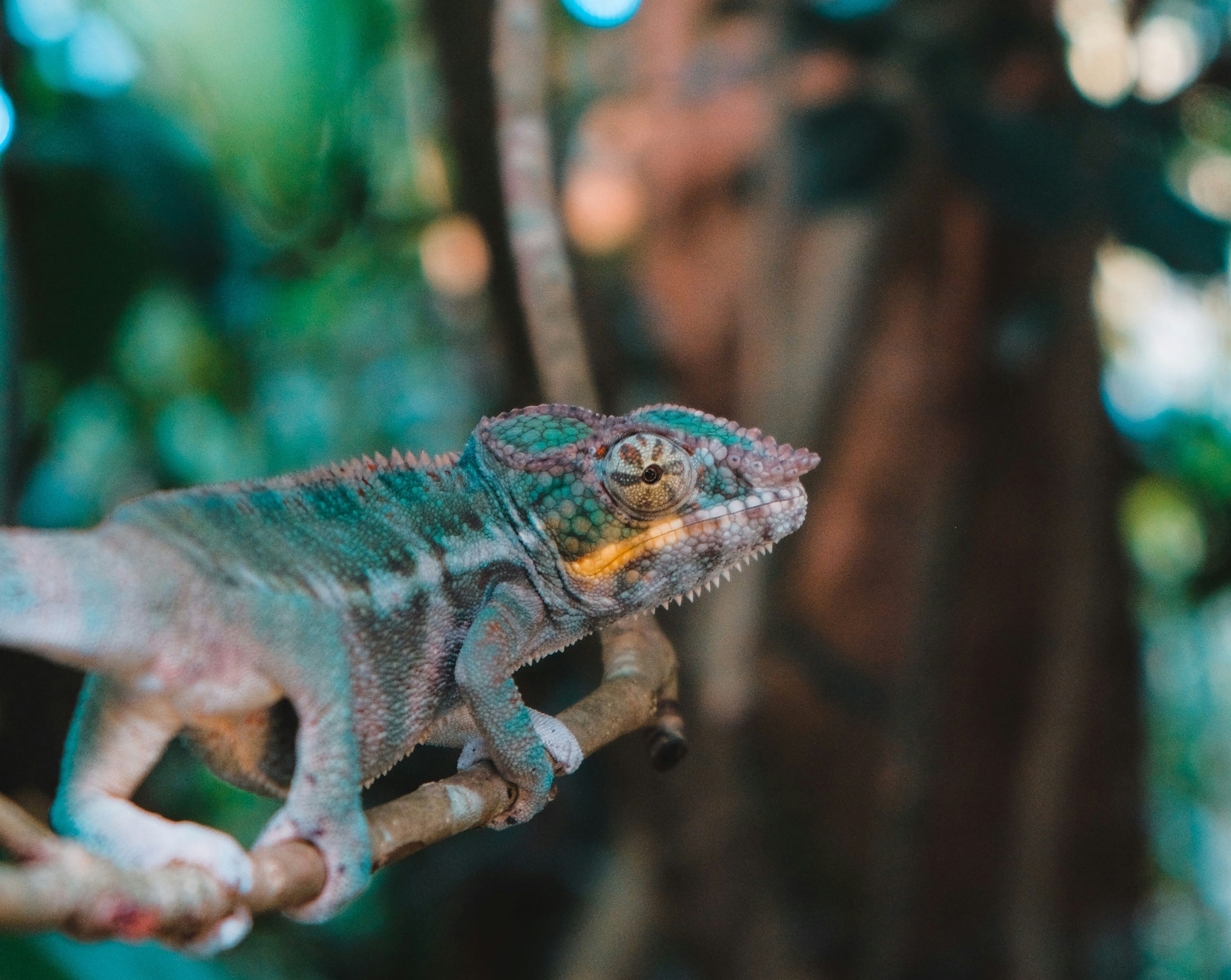 Things to do in Zurich