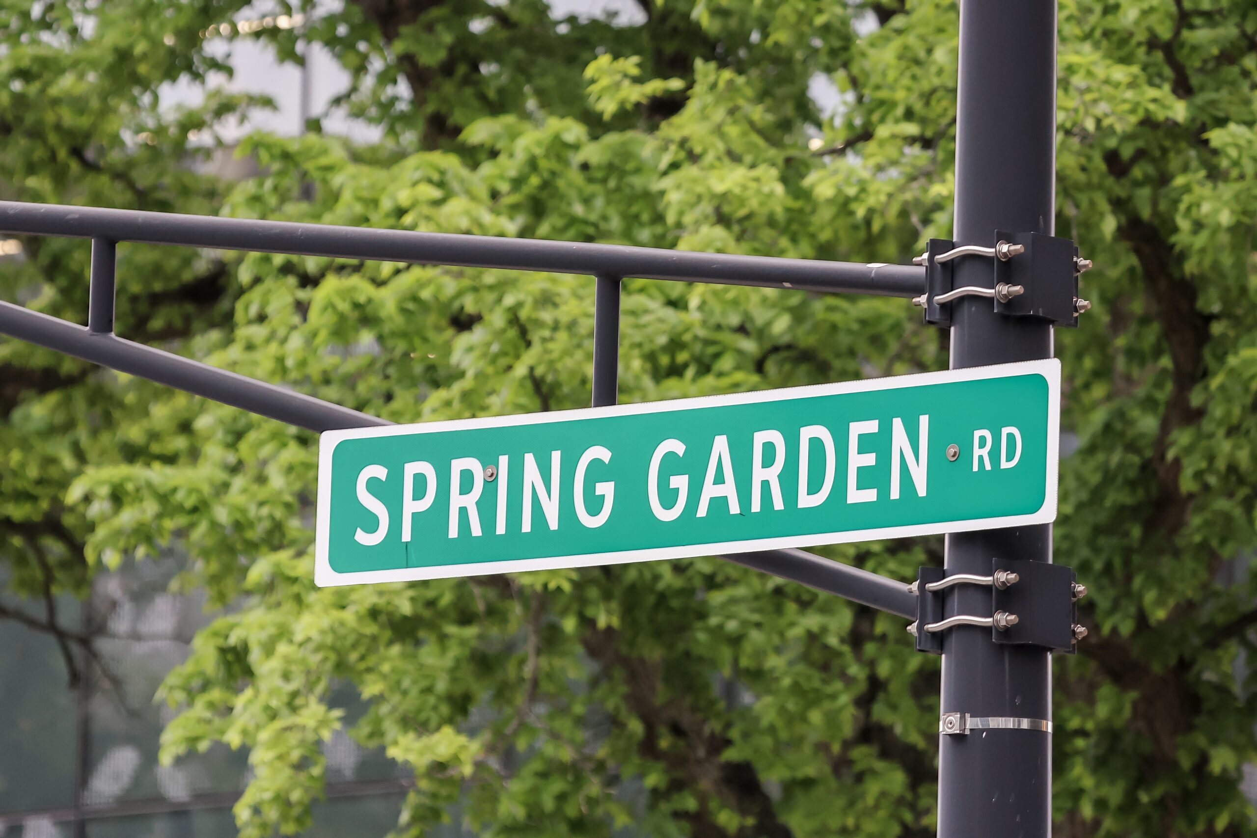 Things to do in Halifax