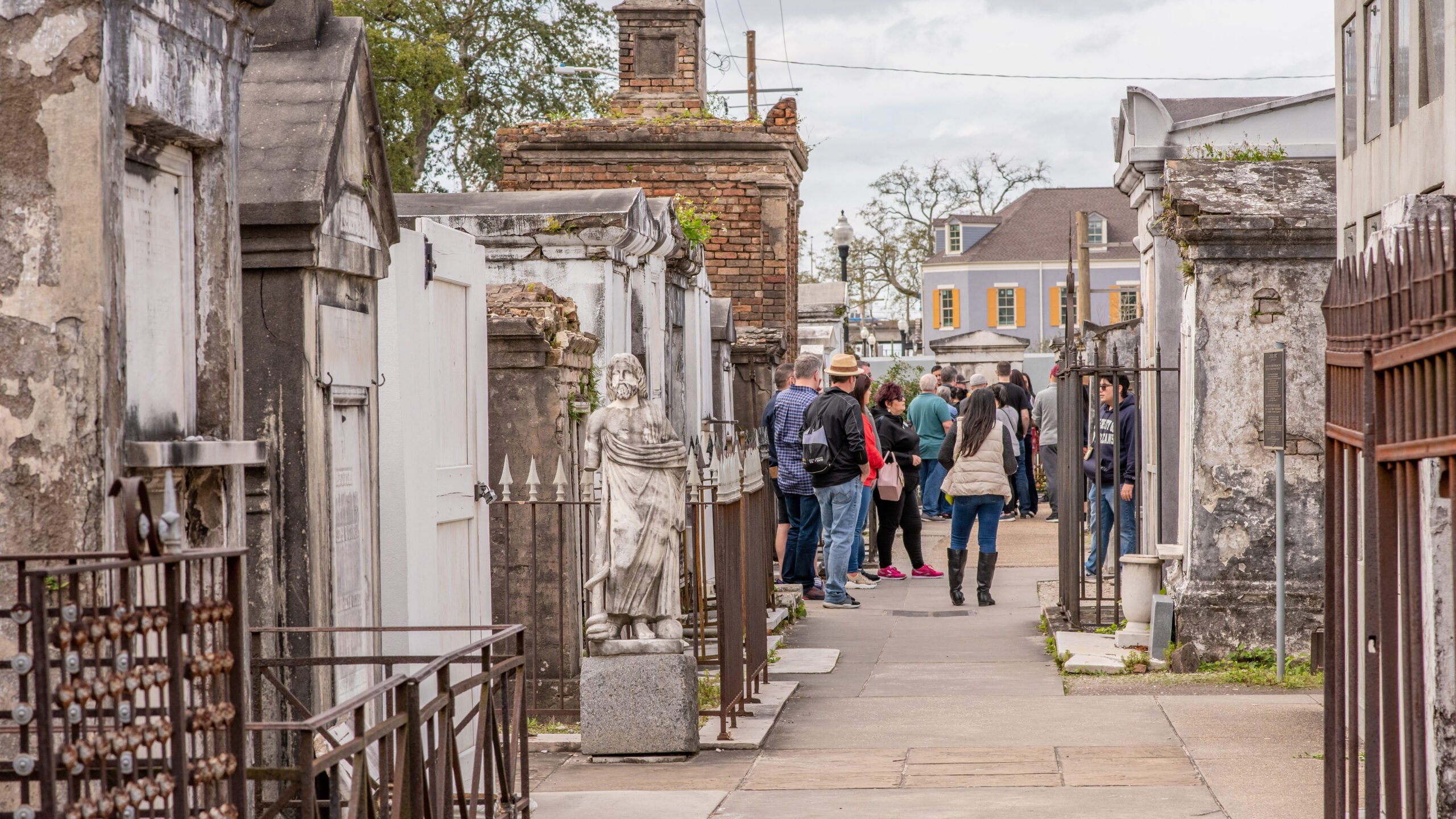 From Bayou Views to a Mississippi River Cruise: Make the Most of Your Time in New Orleans